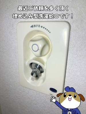 1-11-e1722227951603