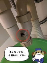 水漏れしている洗面排水トラップの写真です。U字の部分に黒い汚れが付いています。