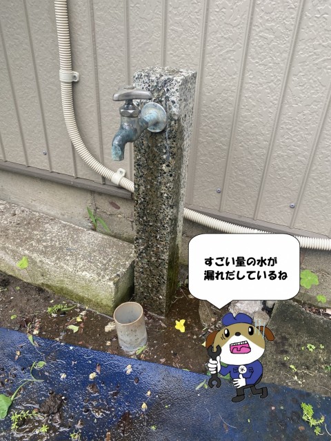 1-116-e1760949650512