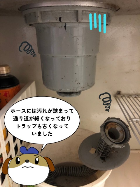 【画像】上半分、グレーの筒のような形の排水トラップがうつっています。汚れのついた排水ホースが下半分にうつっています。白いバケツの中にホースが入っています。