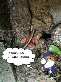 1-119-e1763254681665