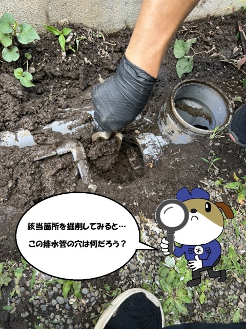 1-120-e1765171919797