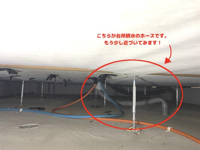 【画像】床下の写真です。