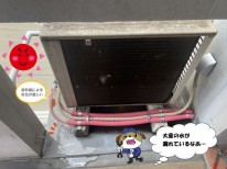 1-122-e1767581758583