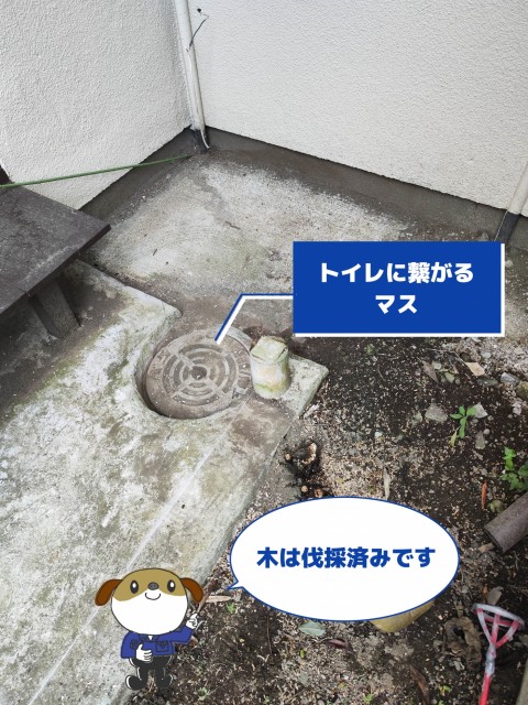 【画像】外排水桝の写真です。