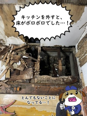 【画像】台所下の写真です。