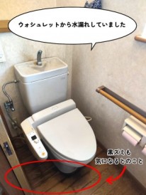 【画像】トイレ室内の写真です。