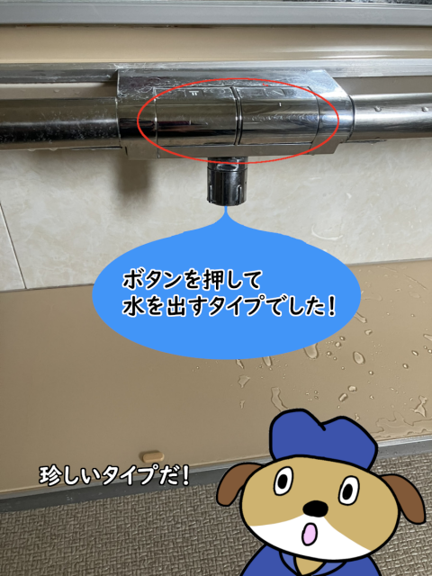 【画像】浴室蛇口が真ん中に写っています。蛇口は銀色で、下にスパウトが伸びており上にボタンが設置されています。