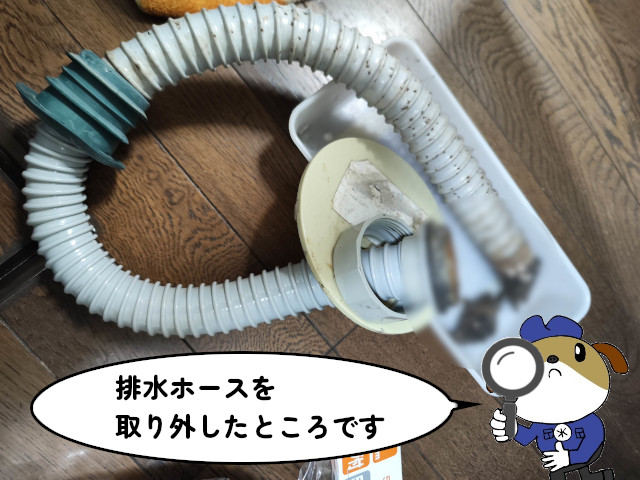 【画像】台所排水ホースを取り外したところです。