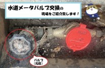 1-133-e1776757126972