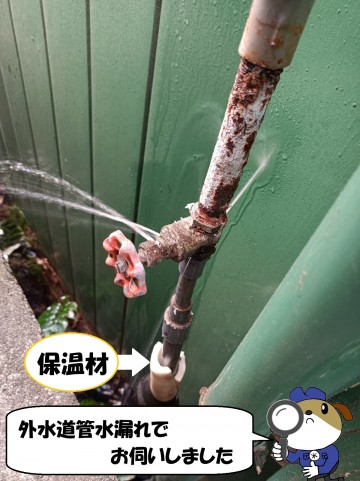 1-138-e1774853792696