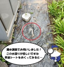 1-139-e1775365518181