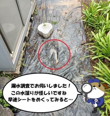 1-139-e1775365518181