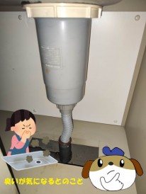 【画像】排水異臭