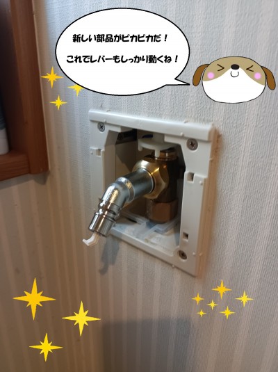 12-121-e1763271638252