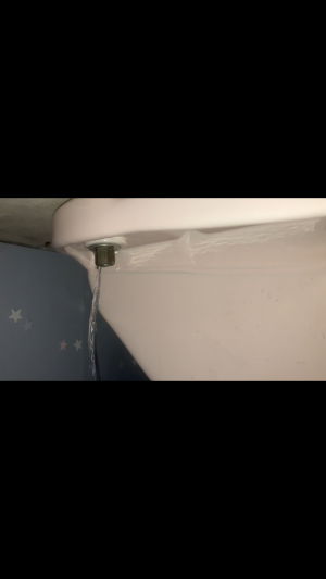 120-e1714105911564