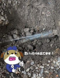 【画像】漏水特定