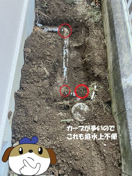 【画像】カーブ