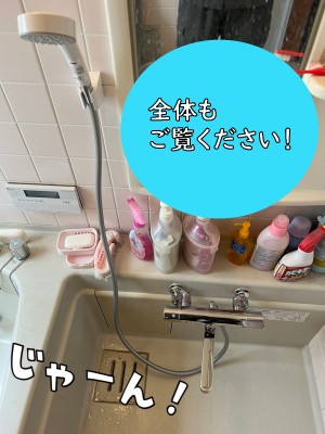 【画像】浴室蛇口とシャワーの全体を写しました。