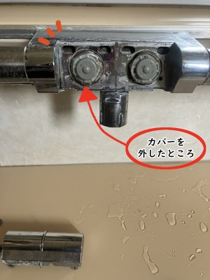 【画像】真ん中に蛇口が写っています。ボタンカバーを外してあります。内部はグレーの丸い部品が入っています。
