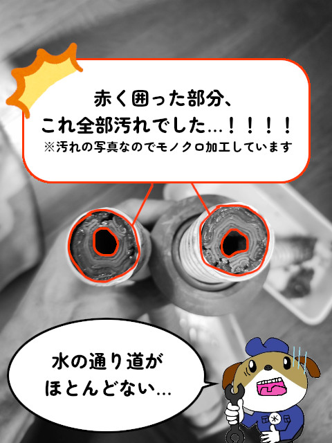 【画像】排水ホースの中を映したところです。