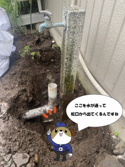 2-223-e1760949684418