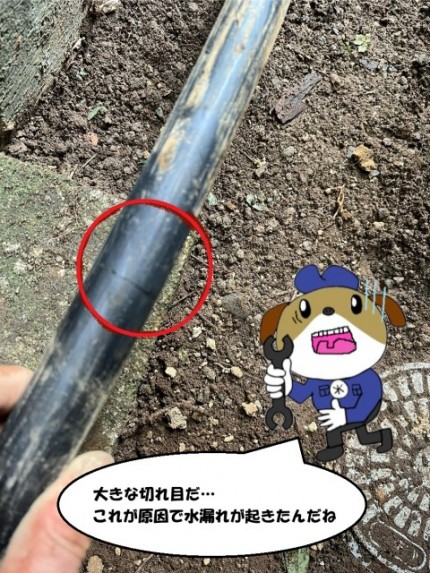 2-224-e1763254720196