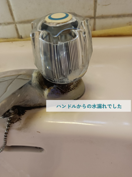 202505blog2