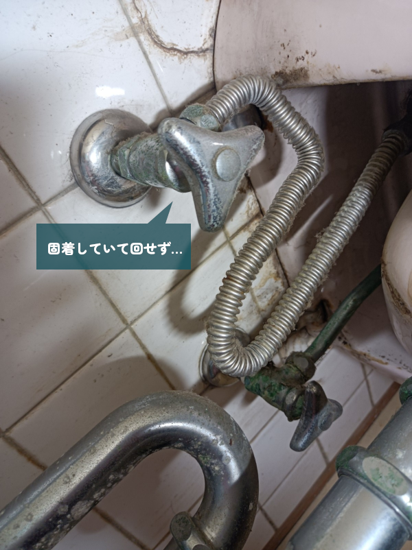 202505blog5