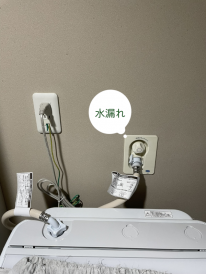 20252blog1
