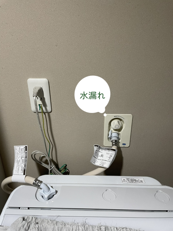 20252blog1