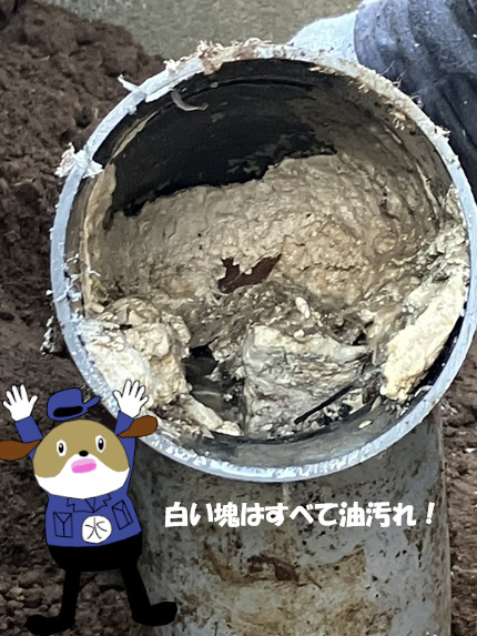 【画像】排水管汚れ