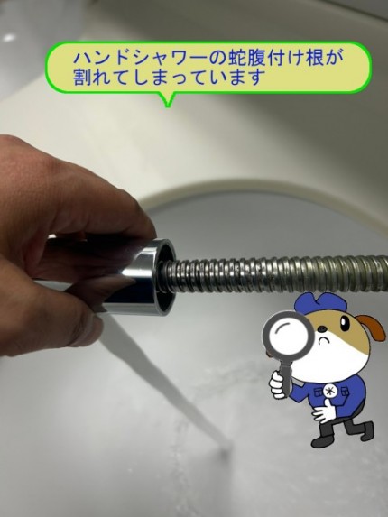 24de0dbc298544cedd005e7cecbda74e45-e1761876729665