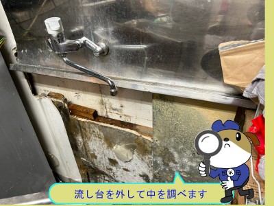 24de0dbc298544cedd005e7cecbda74e46-e1761963744988