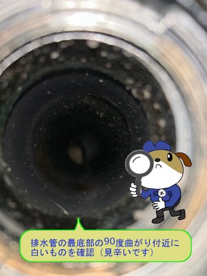 24de0dbc298544cedd005e7cecbda74e48-e1764397003564