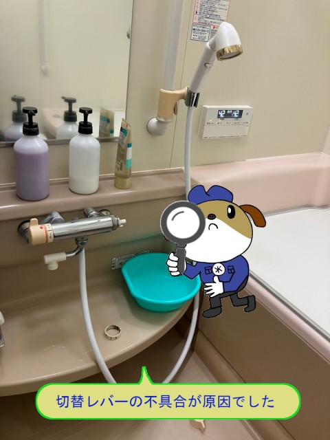 24de0dbc298544cedd005e7cecbda74e49-e1764994220832