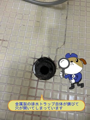 24de0dbc298544cedd005e7cecbda74e50-e1765345434647