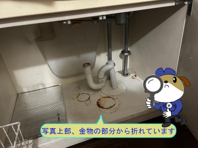 24de0dbc298544cedd005e7cecbda74e54-e1776217201667