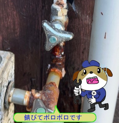 24de0dbc298544cedd005e7cecbda74e9-e1773896015341