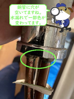 【画像】銅管に注目