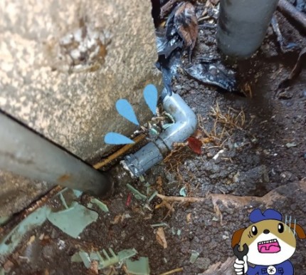 3-1-1-e1772864148189