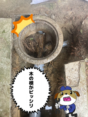 【画像】排水桝の中を映した写真です。