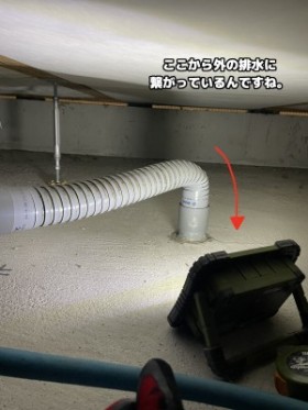 【画像】床下の写真です。台所排水が写っています