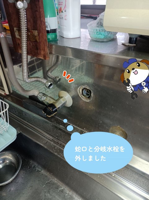 【画像】元々ついていた蛇口と分岐水栓を外したところです。
