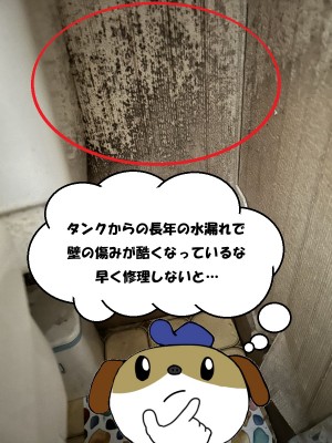 3-316-e1770014613116