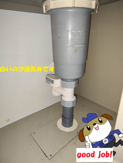 【画像】施行完了