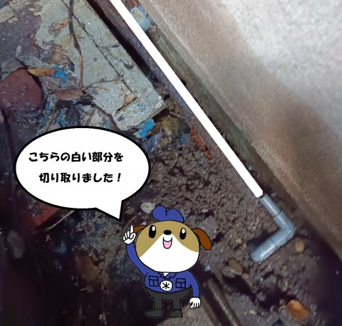 4-1-1-e1772871042481