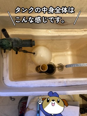 【画像】タンクの中身全体の写真です。