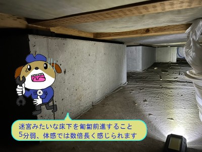 4c4c499b88656317a4d7a139c4f6bb2142-e1764397052616