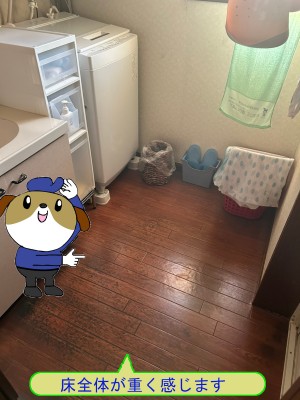 4c4c499b88656317a4d7a139c4f6bb2145-e1768539576341